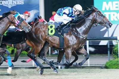 GREEN STAR IS DONNA LOGAN'S FIRST WINNER IN SINGAPORE FRIDAY 27TH APRIL